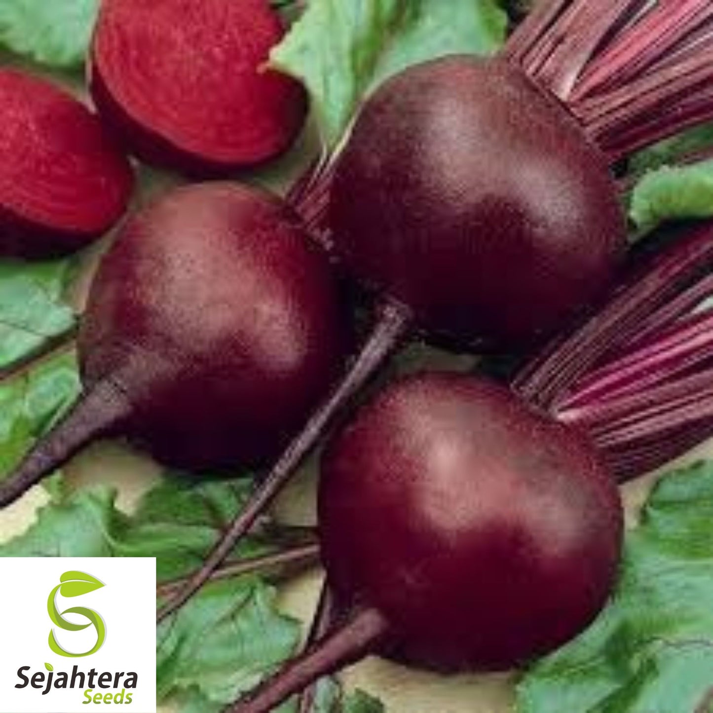 Detroit Dark Red Beet Seeds - 250+ Organic Heirloom - Sweet & Non-GMO