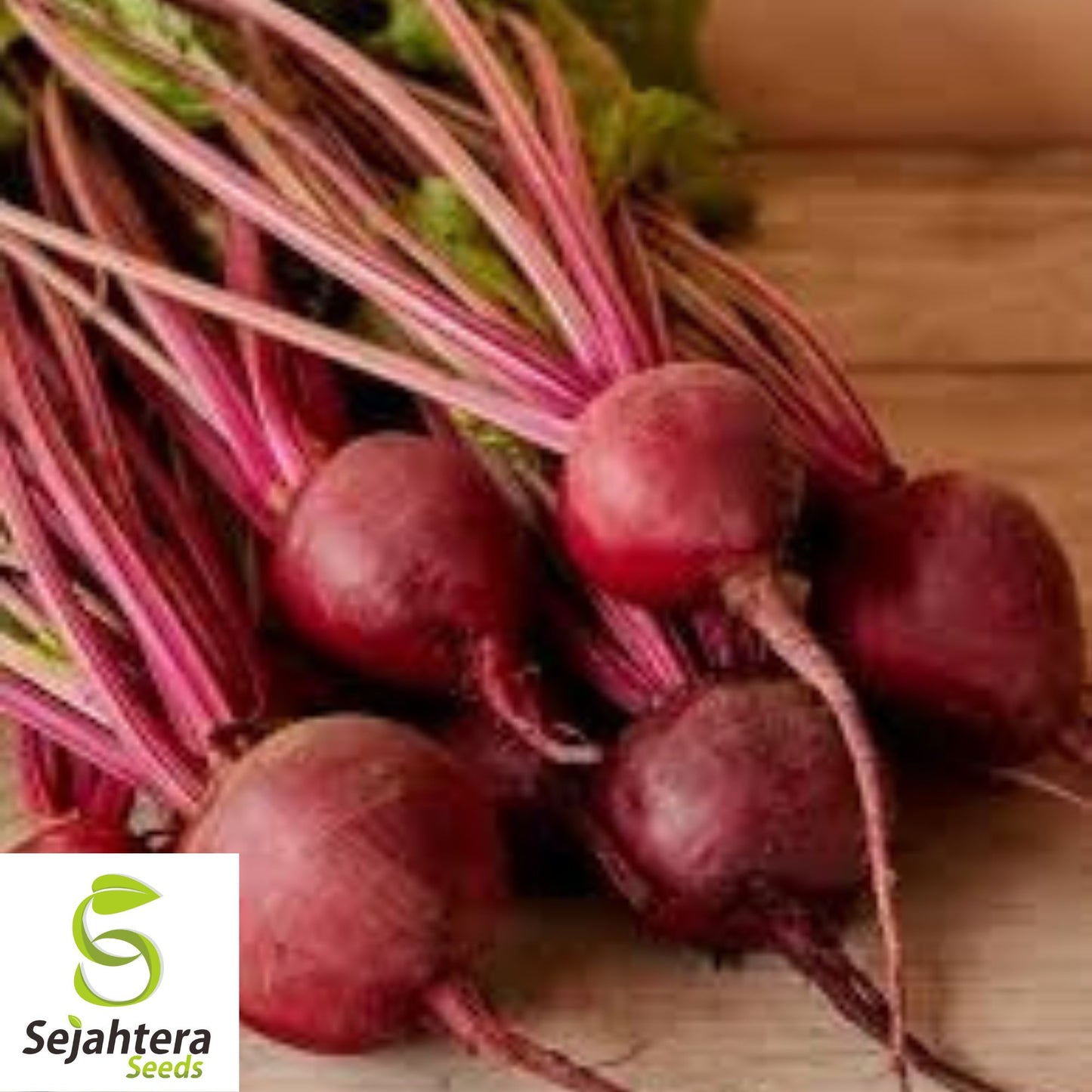 Detroit Dark Red Beet Seeds - 250+ Organic Heirloom - Sweet & Non-GMO
