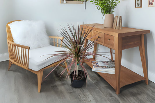 Dracaena Marginata Live Plant - Dragon Tree - Low Maintenance Indoor Air Purifying Houseplant - 1 Plant