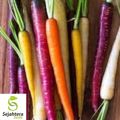 Rainbow Carrot Blend Seeds - 100+ Heirloom, Organic, Non-GMO & Fresh