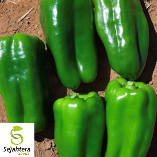 Cascadura Sweet Pepper Seeds 25+ | Heirloom NON-GMO Vegetable Garden USA
