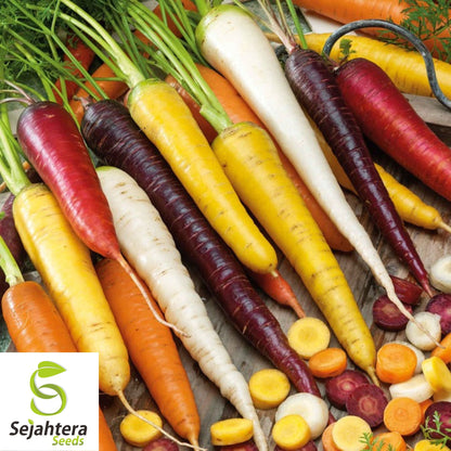 Rainbow Carrot Blend Seeds - 100+ Heirloom, Organic, Non-GMO & Fresh