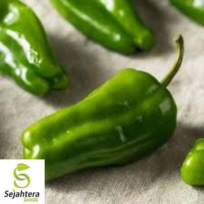 Cascadura Sweet Pepper Seeds 25+ | Heirloom NON-GMO Vegetable Garden USA