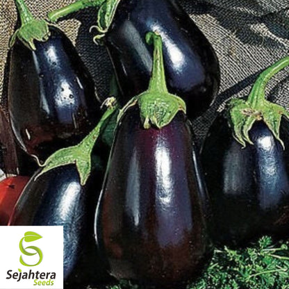 150 Black Beauty Eggplant Seeds - Non-GMO, Heirloom & High-Yield Variety