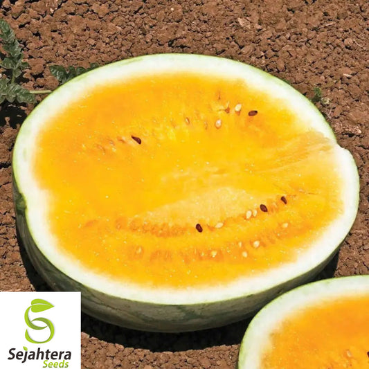 50+ Orange Krush Watermelon Seeds - Heirloom, Non-GMO, Rare & Sweet Juicy Melons