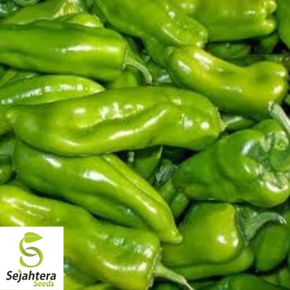 Cubanelle Pepper Seeds 50+ | Sweet Vegetable Garden NON-GMO USA
