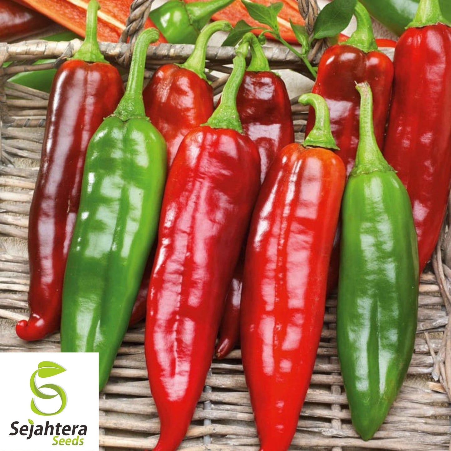 25+ Big Jim Hot Pepper Seeds - Heirloom, Capsicum Anuum, USA Vegetable