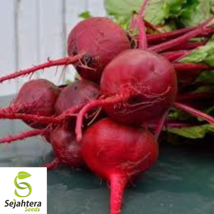 Crosby’s Egyptian Beet Seeds 100 Ct | Heirloom Vegetable NON-GMO USA