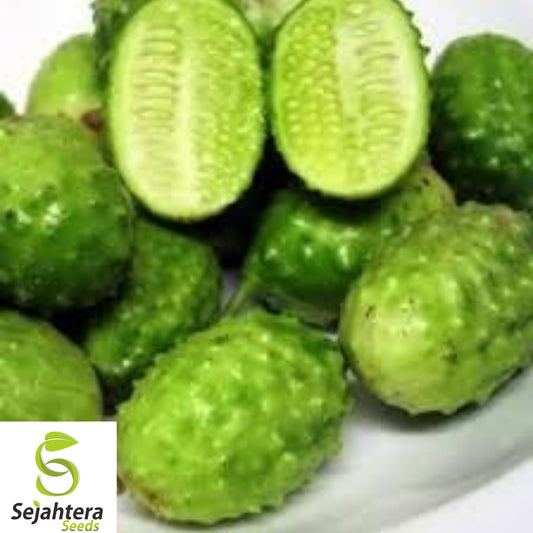 100+  West Indian Gherkin Seeds – Rare Burr Spike Cucumber, Non-GMO, High-Yield