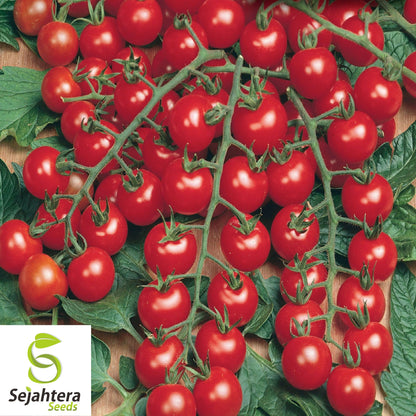 100+ Small Red Cherry Tomato Seeds - Non-GMO, Heirloom & Sweet Variety