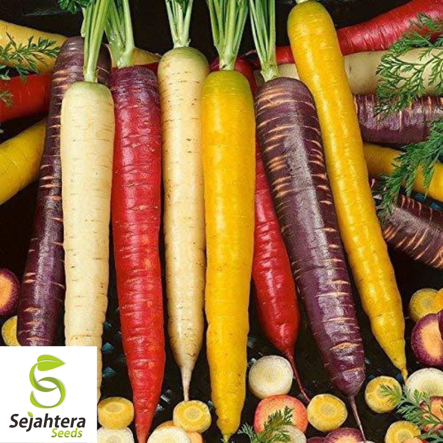 300 Rainbow Carrot Seeds - Non-GMO, Vibrant & Sweet Heirloom Variety