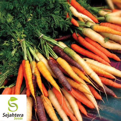 300 Rainbow Carrot Seeds - Non-GMO, Vibrant & Sweet Heirloom Variety