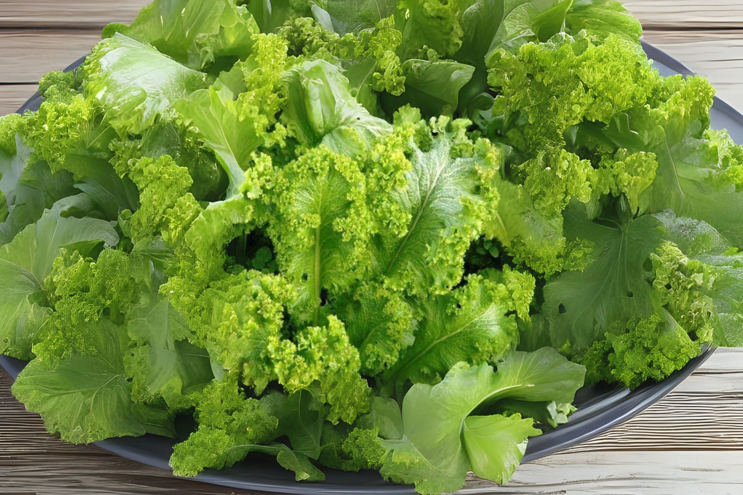 Green Wave Mustard (Brassica juncea var. Green wave)