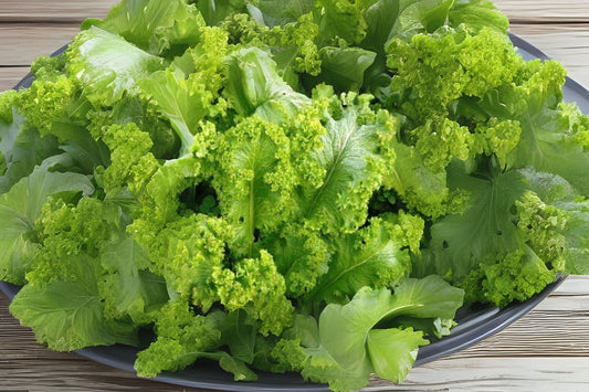 Green Wave Mustard (Brassica juncea var. Green wave)