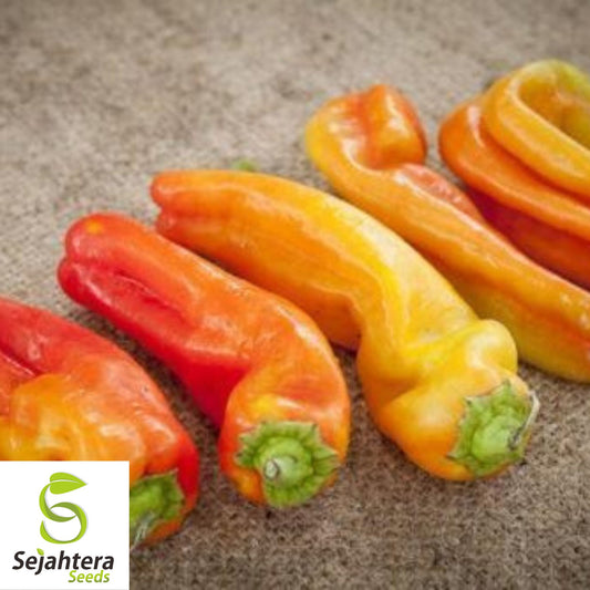 25 Cubanelle Sweet Pepper Seeds - Non-GMO, Mild & Versatile Variety