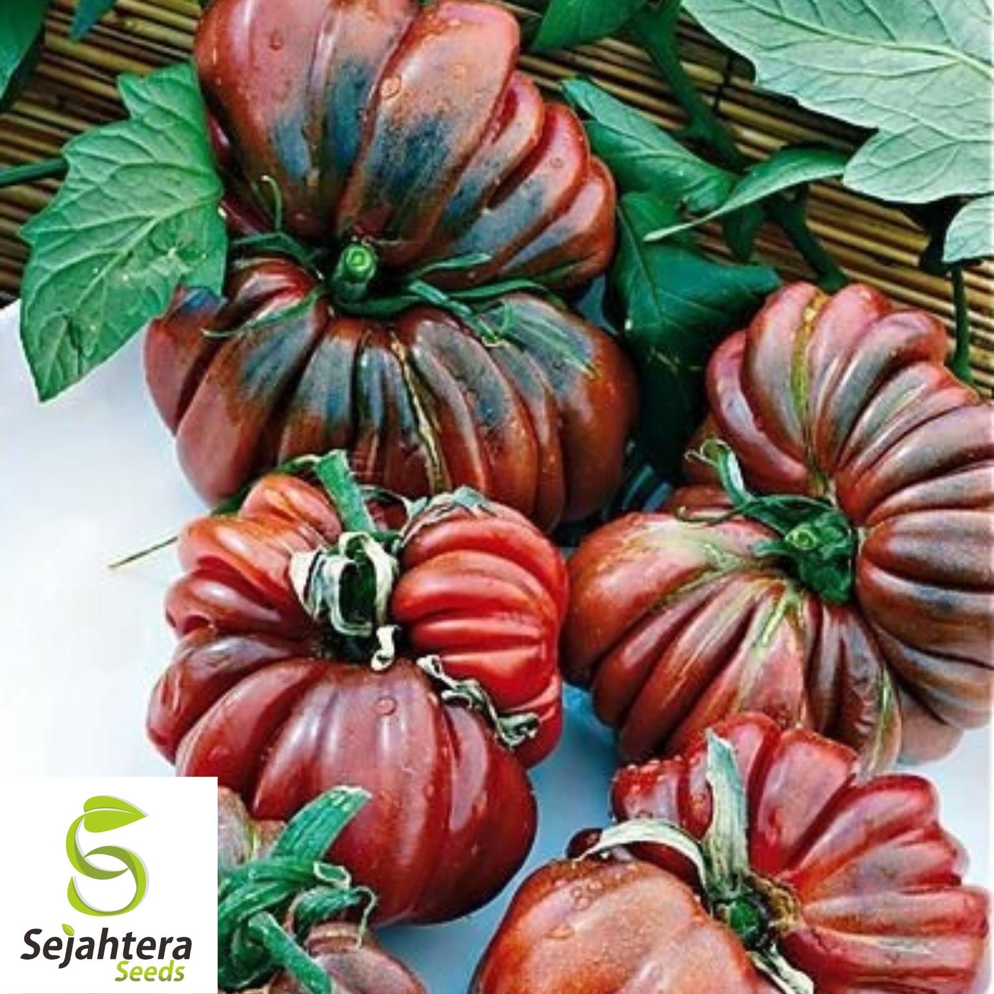 Black From Tula Tomato Seeds - 120+ Heirloom, Organic, Non-GMO & Rare