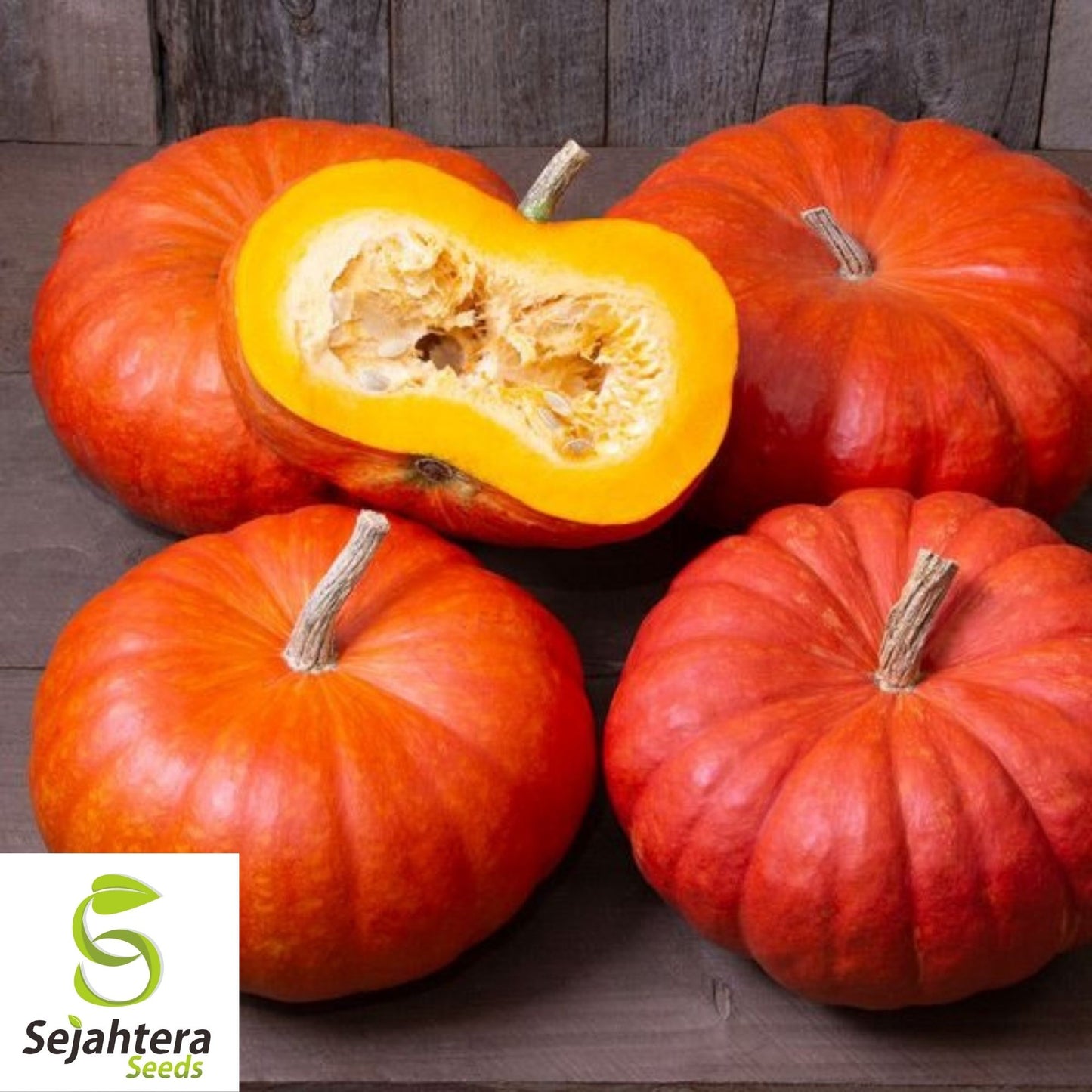 Cinderella Pumpkin Seeds 10 Ct | Rouge vif D'Etampes Heirloom NON-GMO USA