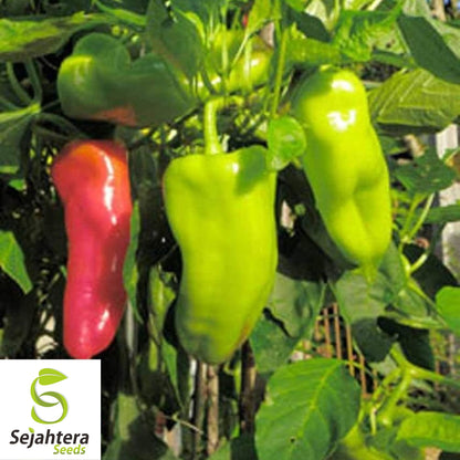 25 Cubanelle Sweet Pepper Seeds - Non-GMO, Mild & Versatile Variety