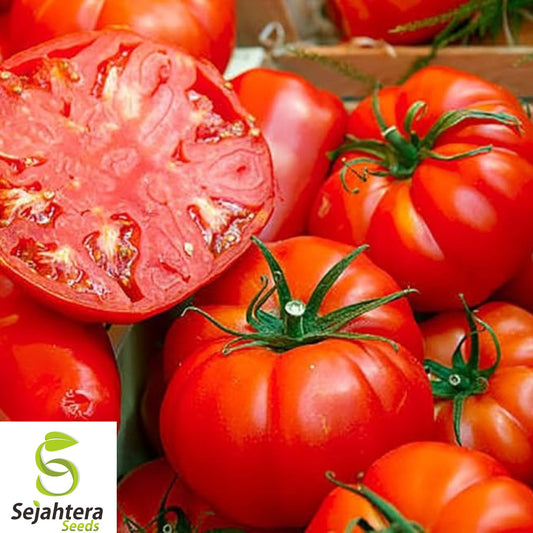 120+ Giant Beefsteak Tomato Seeds - Heirloom, Organic, Non-GMO, Huge & Juicy