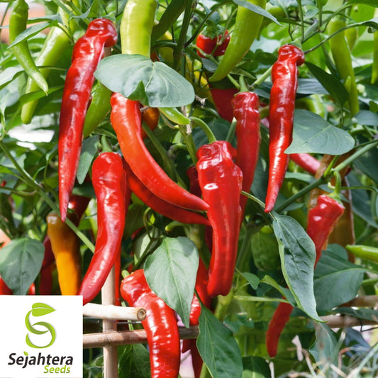 25+ Cowhorn Hot Pepper Seeds - Heirloom, Red Cayenne, Non-GMO Vegetable