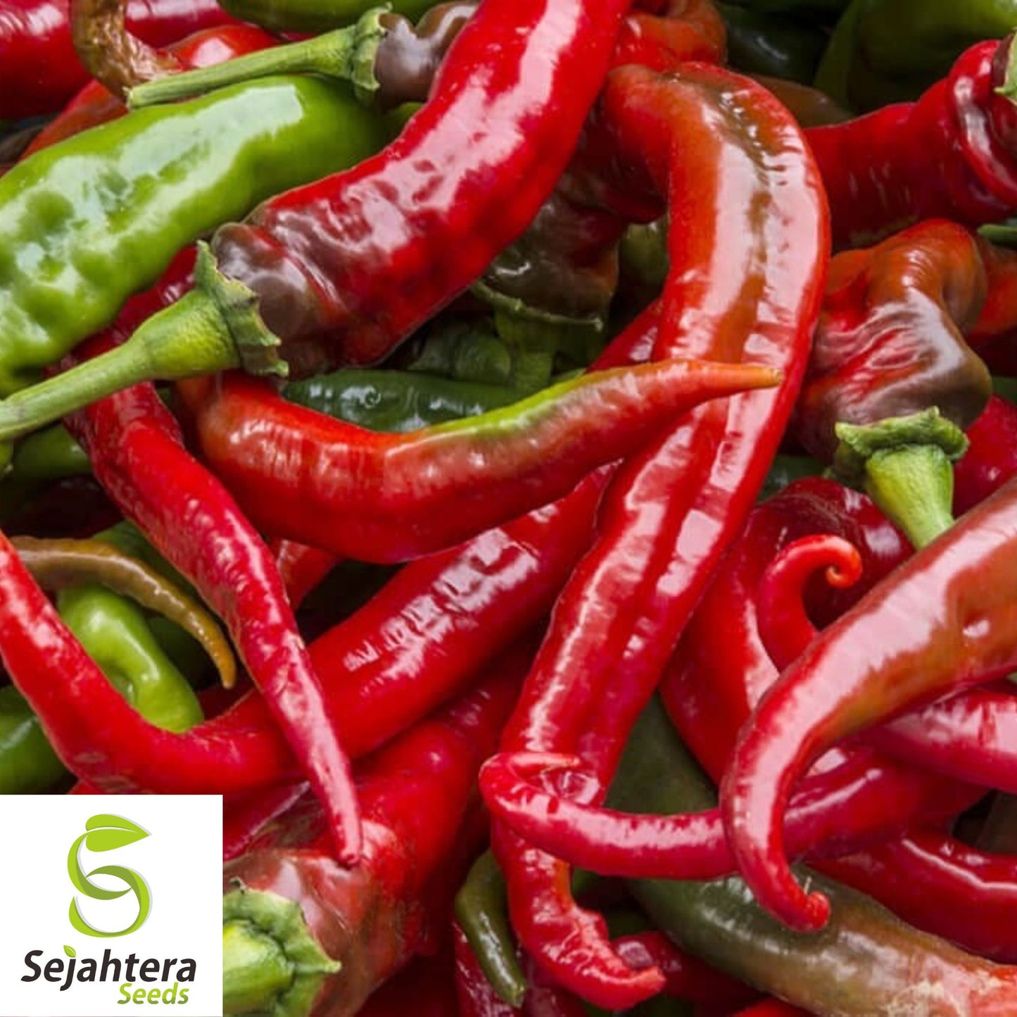 25+ Cowhorn Hot Pepper Seeds - Heirloom, Red Cayenne, Non-GMO Vegetable