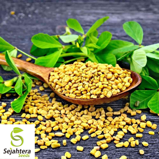 100 Fenugreek Seeds - Non-GMO, Heirloom & Versatile Herb