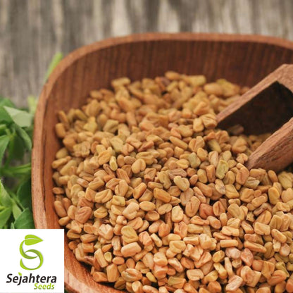 100 Fenugreek Seeds - Non-GMO, Heirloom & Versatile Herb