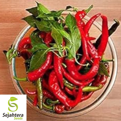 25+ Cowhorn Hot Pepper Seeds - Heirloom, Red Cayenne, Non-GMO Vegetable