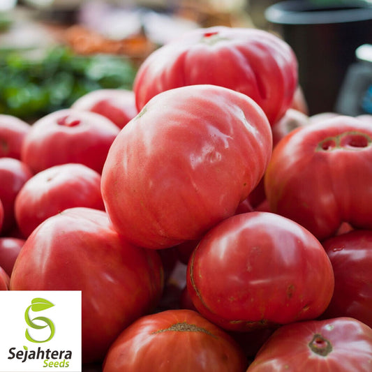50 Pink Oxheart Tomato Seeds - Heirloom, Non-GMO & Sweet Flavor Variety