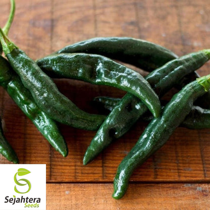 Pasilla Bajio Hot Pepper Seeds 50+ | Heirloom NON-GMO Vegetable USA