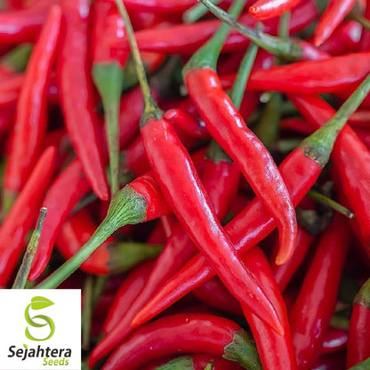 25+ Cowhorn Hot Pepper Seeds - Heirloom, Red Cayenne, Non-GMO Vegetable