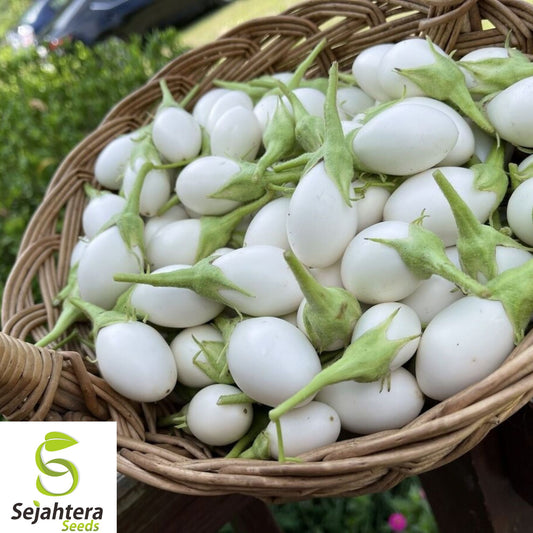 50+ White Egg Eggplant Seeds - Heirloom, Organic, Non-GMO, Rare & Unique Variety