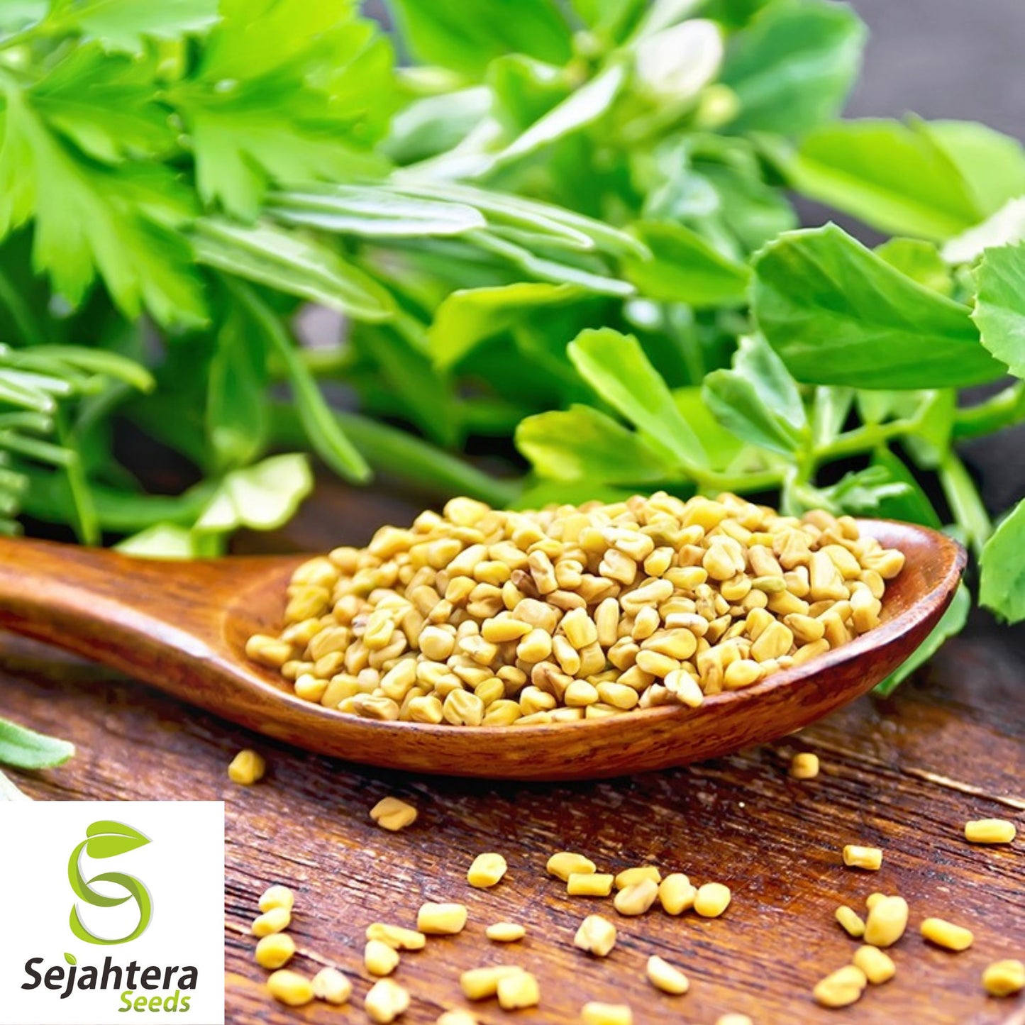 100 Fenugreek Seeds - Non-GMO, Heirloom & Versatile Herb