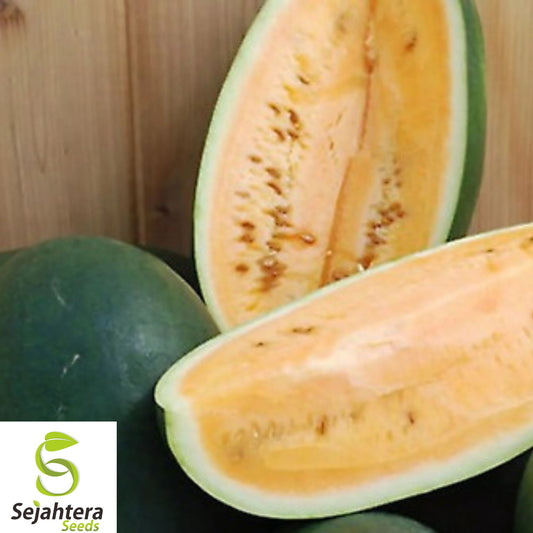 30+ Sweet Siberian Watermelon Seeds - Heirloom, Organic, Non-GMO, Rare & Juicy