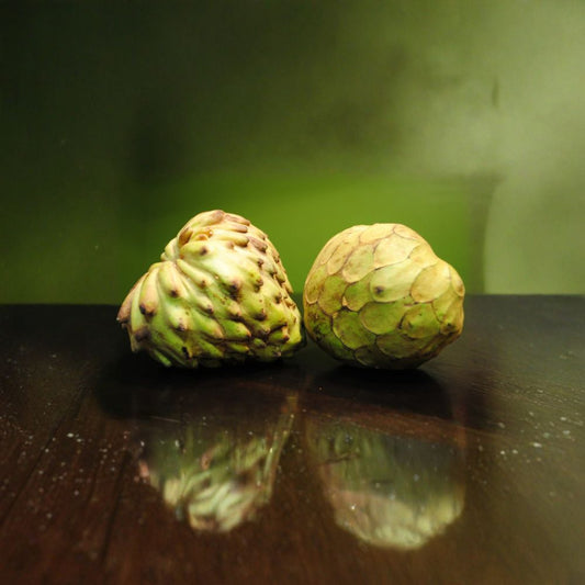 Dr. White Cherimoya – Annona cherimola Live Grafted Tree | 1–2 Feet Tall | Includes 3 Gallon Nursery Pot  Sweet Juicy Fruit | Premium Variety | Backyard Orchard Favorite