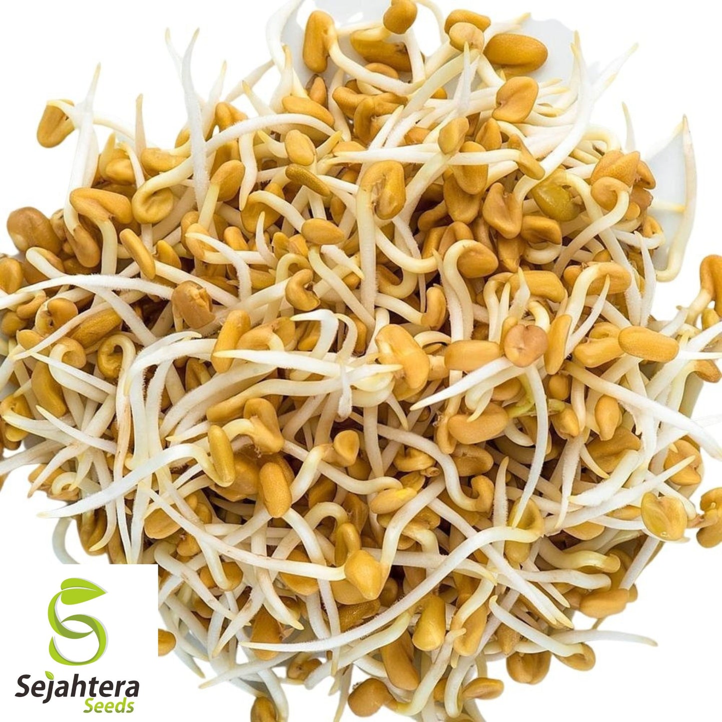 100 Fenugreek Seeds - Non-GMO, Heirloom & Versatile Herb