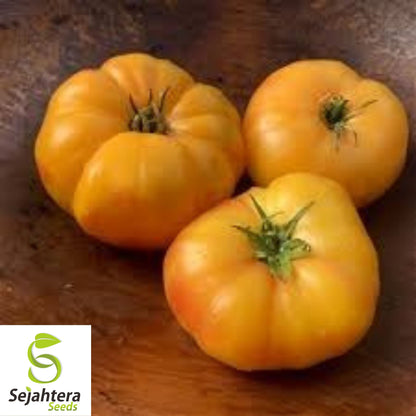 Hillbilly Tomato Seeds - 10+ Heirloom, Organic, Non-GMO & Rare
