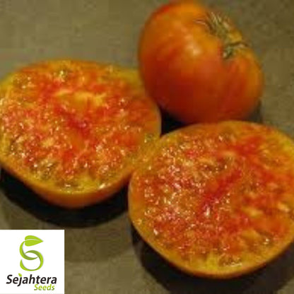 Hillbilly Tomato Seeds - 10+ Heirloom, Organic, Non-GMO & Rare