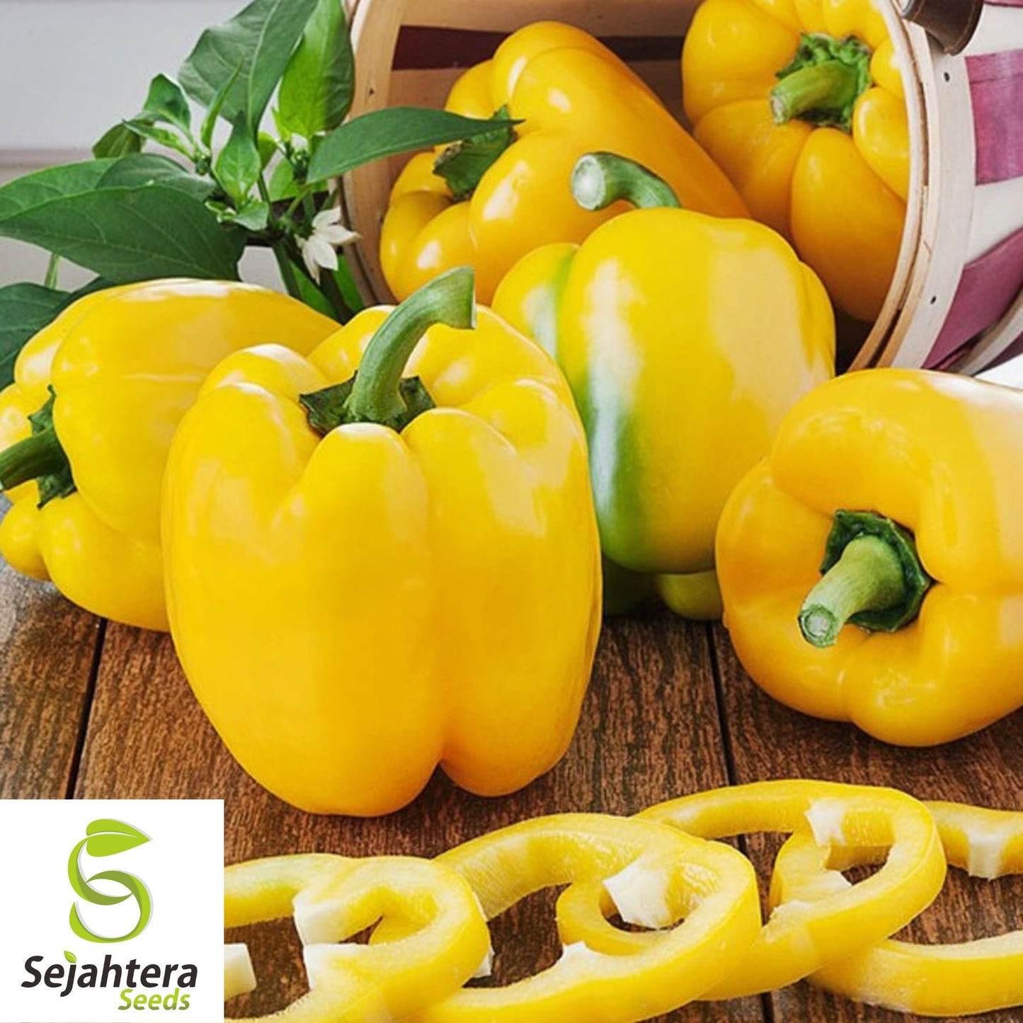 50+ Canary Yellow Bell Pepper Seeds - Sweet Capsicum Anuum, Non-GMO Vegetable