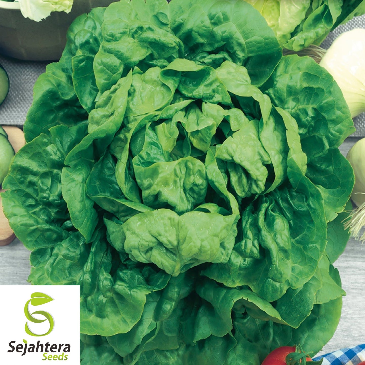 1000 Buttercrunch Lettuce Seeds - Non-GMO, Crisp & Sweet Butterhead Variety