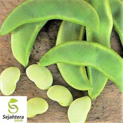 20 Henderson Dwarf Baby Lima Bean Seeds - Non-GMO, Heirloom & Tender Variety