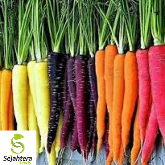 200+ Rainbow Carrot Blend Seeds – Heirloom, Organic, Non-GMO, Colorful & Sweet