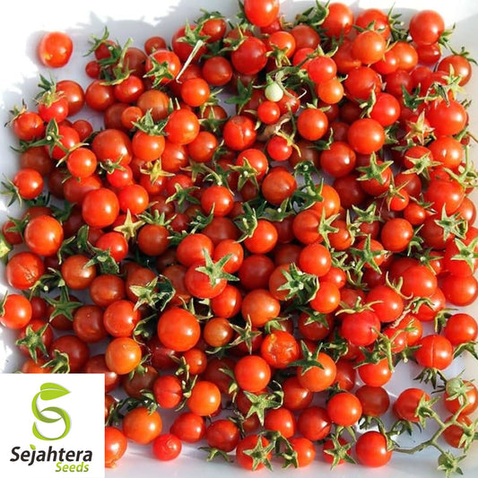 100 Sweetie Tomato Seeds - Heirloom Cherry Tomatoes, Indeterminate, Non-GMO