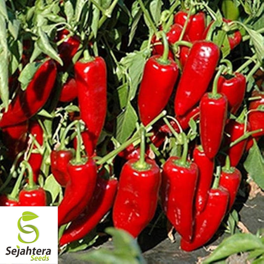 50+ Red Marconi Sweet Pepper Seeds - Non-GMO, Heirloom, Crisp & Mild