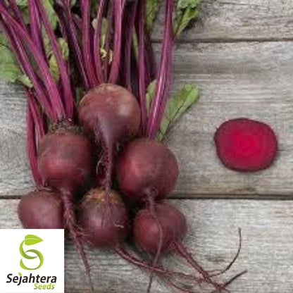 Detroit Dark Red Beet Seeds - 250+ Heirloom, Organic, Non-GMO & Sweet Flavor