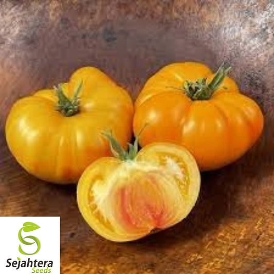 30+ Big Rainbow Tomato Seeds - Heirloom, Organic, Non-GMO, Rare & Juicy Variety