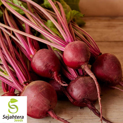 Detroit Dark Red Beet Seeds - 250+ Heirloom, Organic, Non-GMO & Sweet Flavor