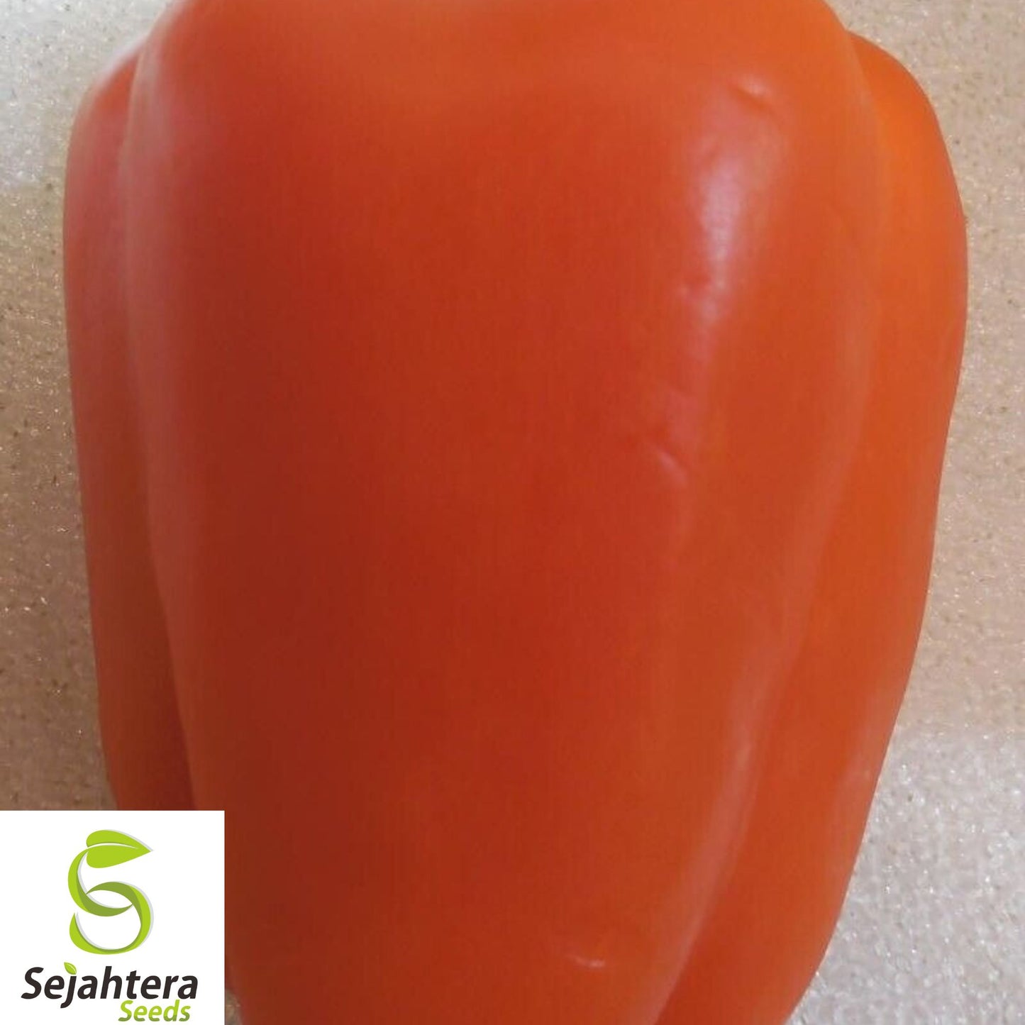 30+ Orange King Bell Pepper Seeds - Heirloom, Organic, Non-GMO, Sweet & Fresh