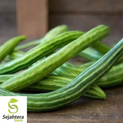 Painted Serpent Cucumber Seeds - 25+ Organic, Heirloom, Non-GMO & Rare
