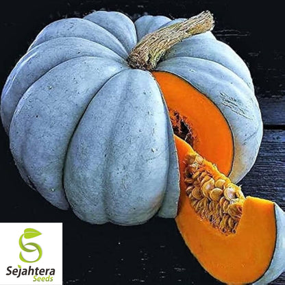 10 Jarrahdale Blue Pumpkin Seeds - Cucurbita Maxima, Heirloom, Non-GMO